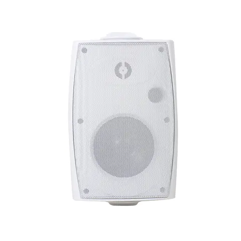 Lucky Tone High Fidelity Wall-mounted Speakers, product photo 2 of 8