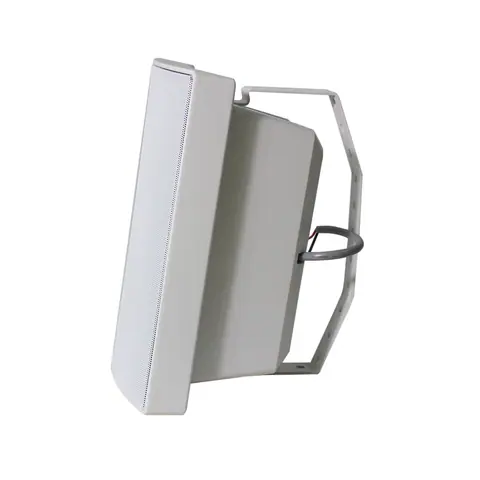 Lucky Tone Wall-mounted Speaker, product photo 2 of 4