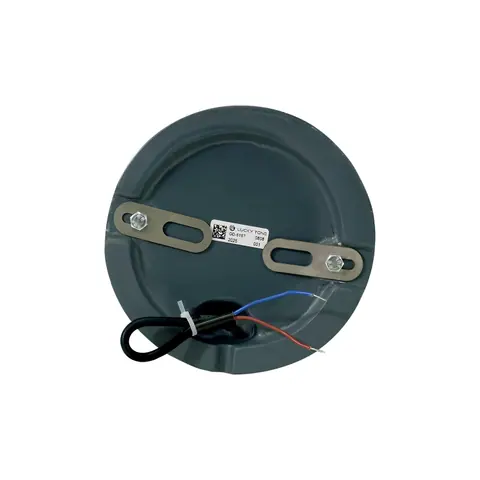 Lucky Tone Ground Mounted Garden Speaker, product photo 3 of 8