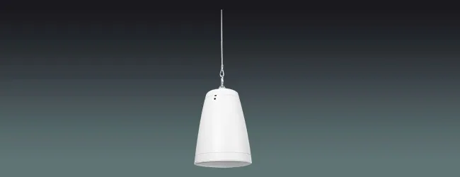 Lucky Tone Pendant Subwoofer, product photo 1 of 7