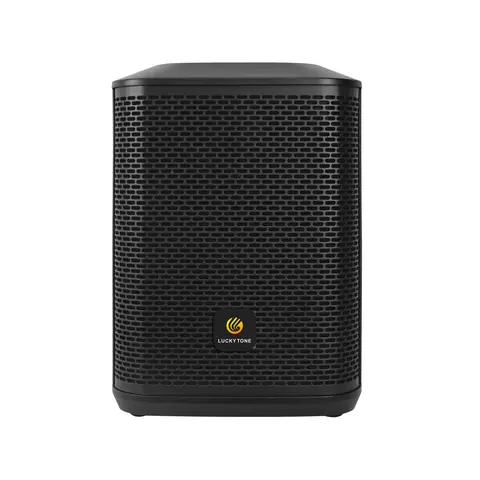Lucky Tone 8-Inch Portable Speaker, product photo 2 of 10