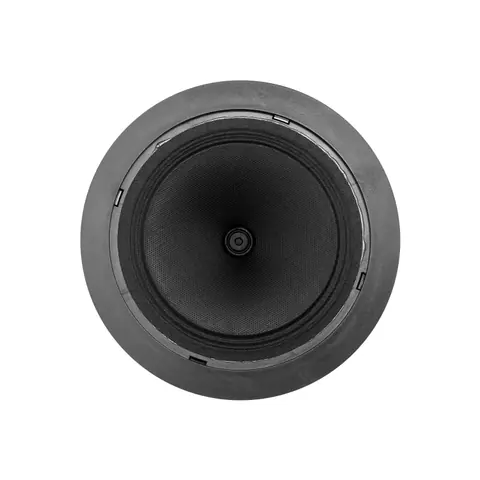 Lucky Tone 5.25-Inch Ceiling Speaker, product photo 7 of 10