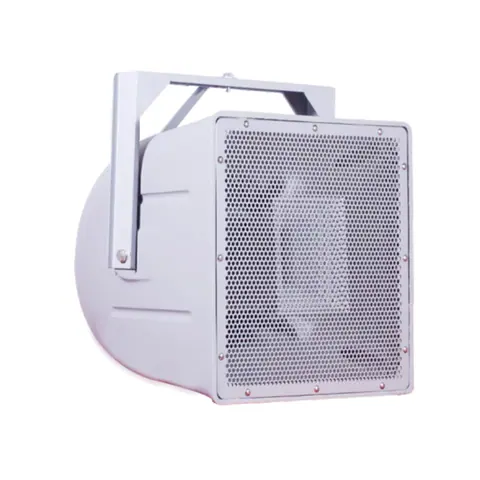Lucky Tone Two-Way All-Weather Horn Speaker, product photo 2 of 9