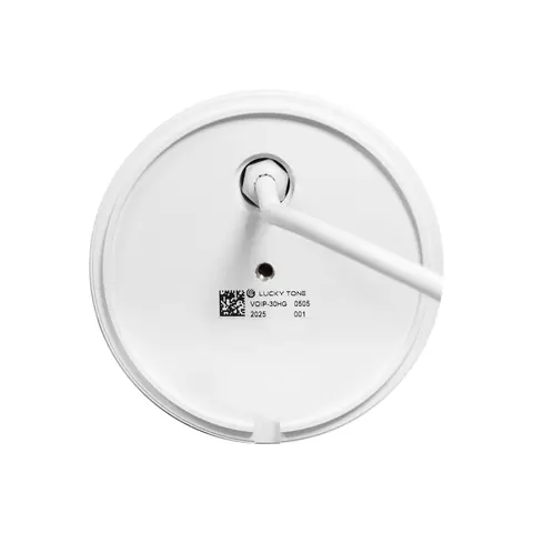 Lucky Tone ONVIF Network Pendant Speaker, product photo 4 of 6