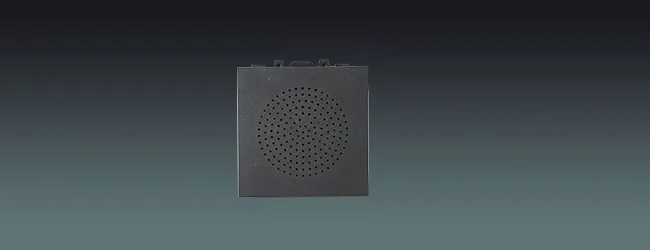 Lucky Tone 5W Mini Wall Speaker, product photo 1 of 7
