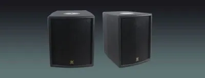 Lucky Tone Subwoofer speaker with DSP, POE power supply, product photo 1 of 4
