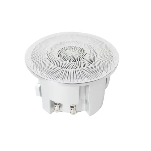 Lucky Tone IP66 Neodymium Aluminum Ceiling Speaker, product photo 5 of 7
