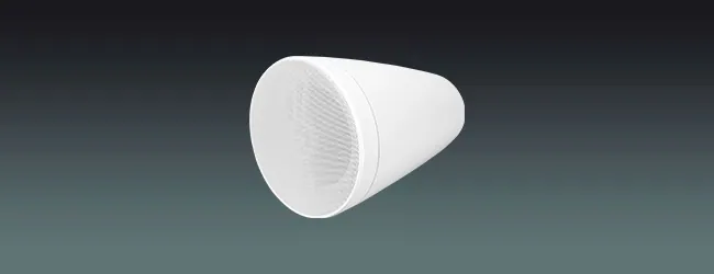 Lucky Tone ONVIF Network Wall Speaker, product photo 1 of 6