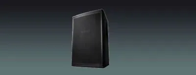 Lucky Tone Professional Speaker, product photo 1 of 2