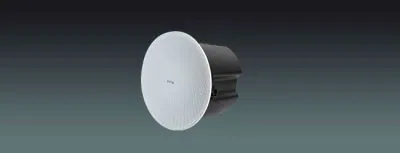 Lucky Tone 8 inch Ceiling Subwoofer, product photo 1 of 6