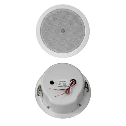 Lucky Tone 6” Metal Ceiling Speaker with Dome, product photo 2 of 4