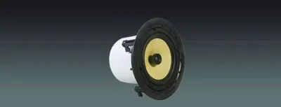 Lucky Tone Dante Rimless Ceiling Speaker, product photo 1 of 6