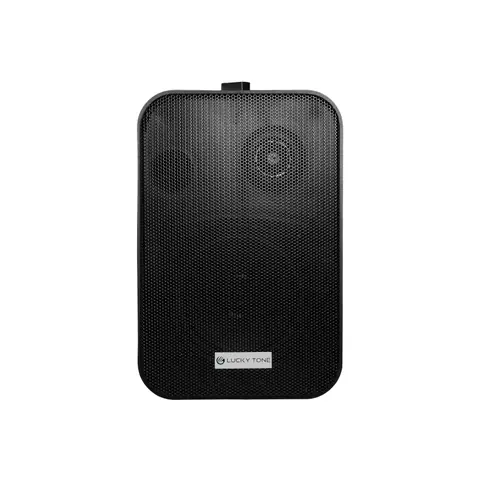 Lucky Tone Wall Mounted Speaker, product photo 2 of 7