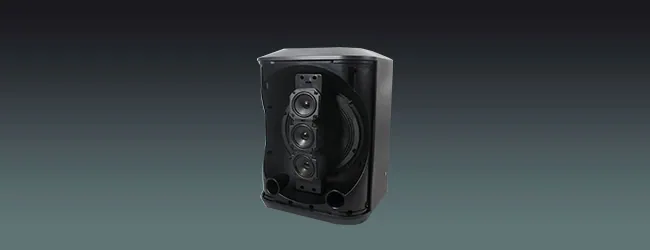 Lucky Tone 8-Inch Portable Speaker, product photo 1 of 10
