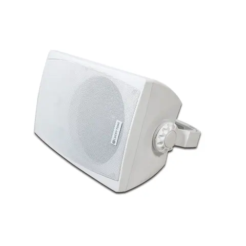 Lucky Tone 6.5 Inch Wireless TWS Paired Speaker, product photo 4 of 8