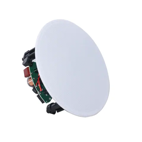 Lucky Tone Rimless Ceiling Speaker, product photo 7 of 7