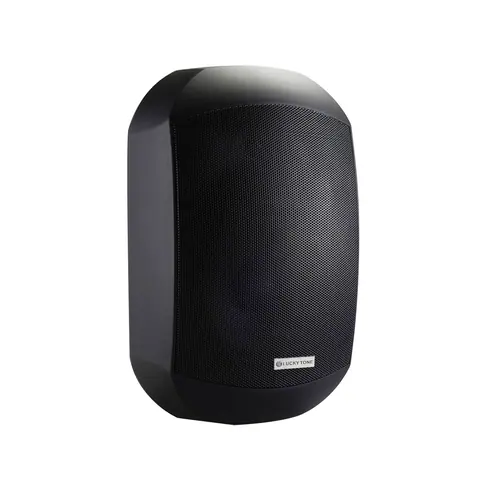 Lucky Tone WTP Outdoor Wall Mount Speaker, product photo 3 of 6