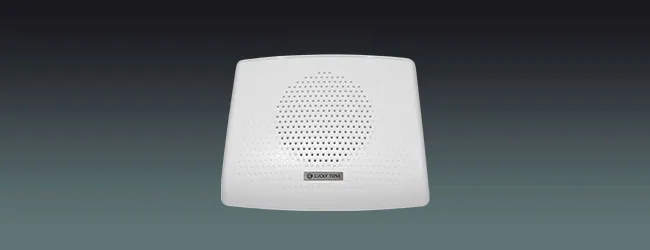 Lucky Tone Wall Mount Speaker, product photo 1 of 7
