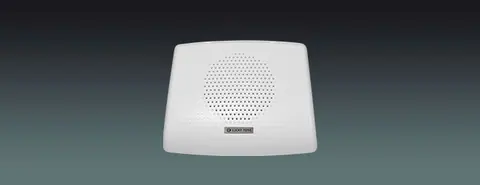 Lucky Tone Wall Mount Speaker, product photo 1 of 7