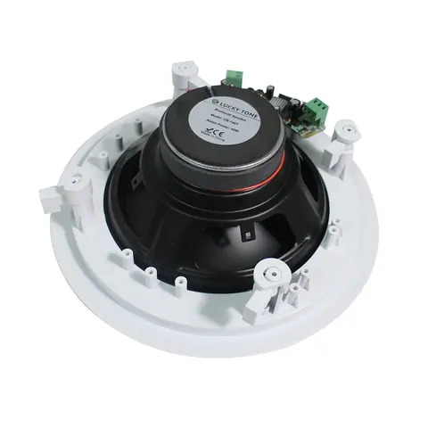 Lucky Tone High Power Bluetooth Ceiling Speaker, product photo 5 of 6