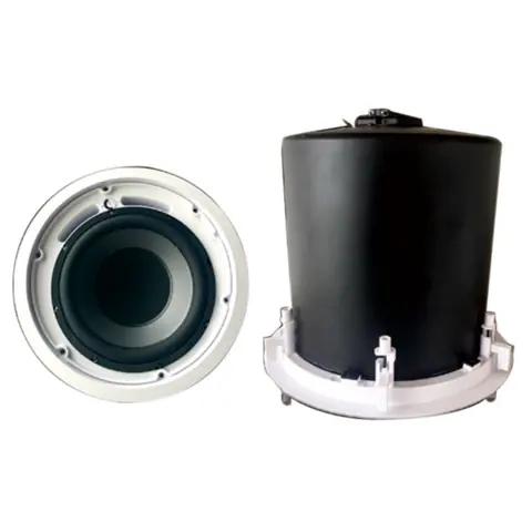 Lucky Tone 10″ Ceiling Subwoofer, product photo 2 of 2