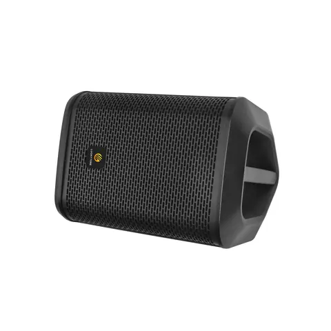 Lucky Tone 8-Inch Portable Speaker, product photo 8 of 10
