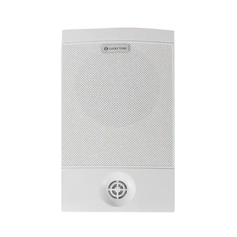 Lucky Tone 2-Way Wall Mount Speaker with Tweeter, product photo 5 of 7