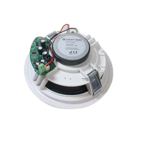 Lucky Tone Bluetooth Ceiling Speakers, product photo 6 of 7