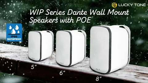 Lucky Tone WIP Dante Wall Mounted Speaker with POE, product photo 3 of 7