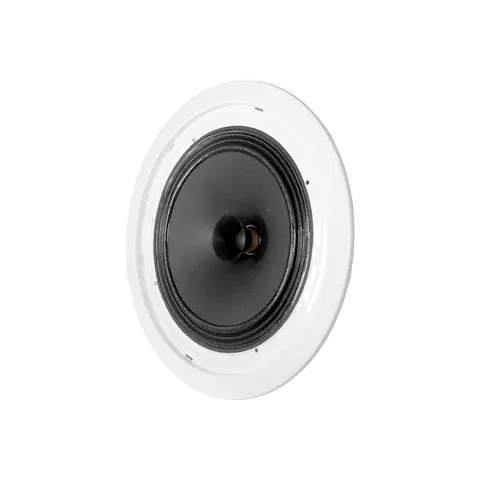 Lucky Tone 8″ Metal Ceiling Speaker, product photo 6 of 7