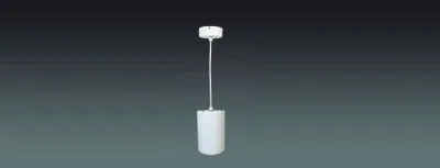 Lucky Tone 20W Aluminum Hang Speaker, product photo 1 of 7