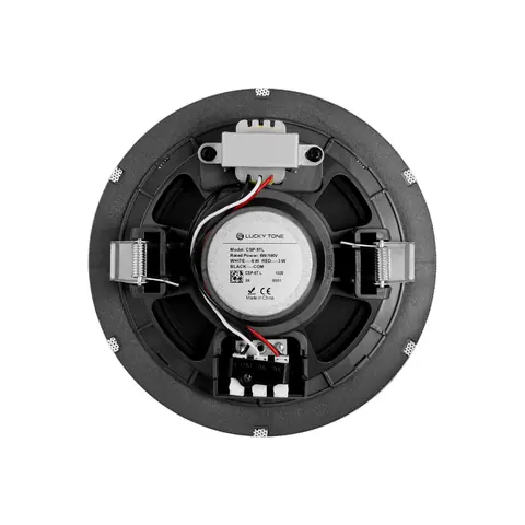 Lucky Tone 5.25-Inch Ceiling Speaker, product photo 9 of 10