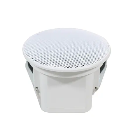 Lucky Tone Super Mini 8W Ceiling Speaker, product photo 4 of 7