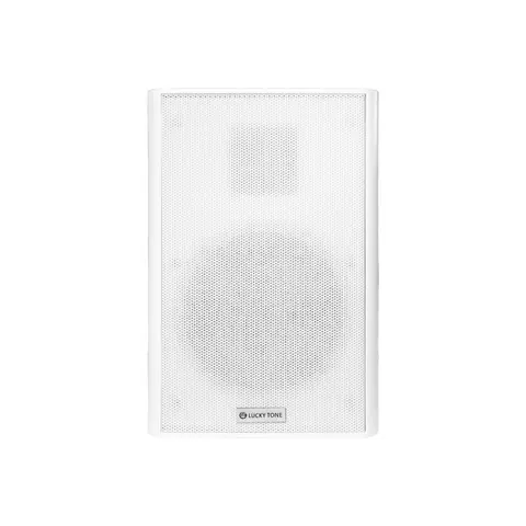 Lucky Tone Ultra-thin Wall Mount Speaker, product photo 2 of 7