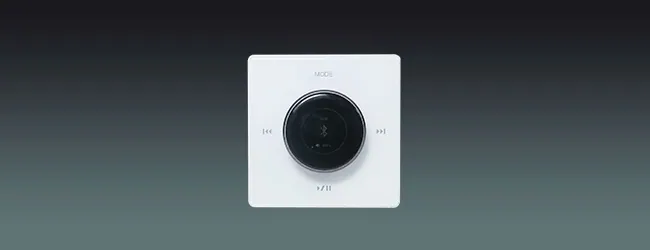 Lucky Tone Volume Control with Amplifier & Color Screen, product photo 1 of 7