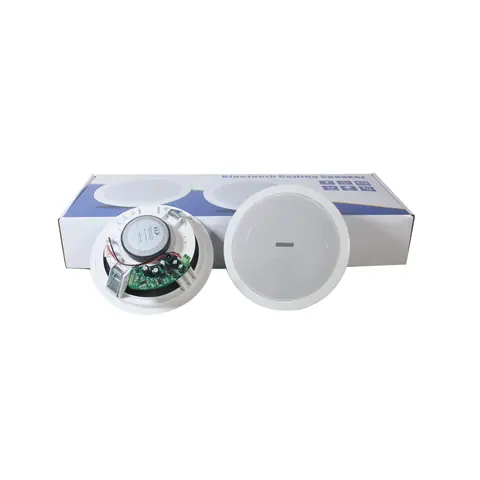 Lucky Tone Bluetooth Ceiling Speakers, product photo 2 of 7