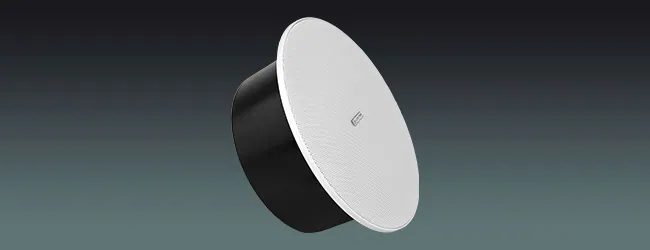 Lucky Tone 6″ Twin Cone Marine Ceiling Speaker, product photo 1 of 8