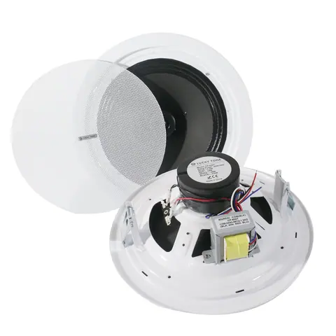 Lucky Tone High SPL 8-Inch Ceiling Speaker, product photo 6 of 6