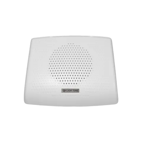 Lucky Tone Wall Mount Speaker, product photo 2 of 7