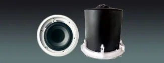 Lucky Tone 10″ Ceiling Subwoofer, product photo 1 of 2