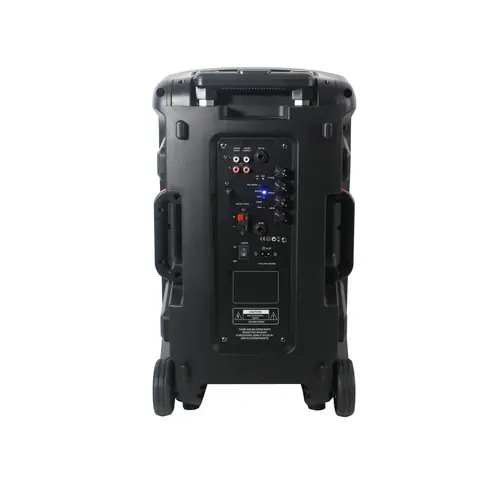 Lucky Tone 10/12-Inch Bluetooth Trolley Speaker, product photo 3 of 8