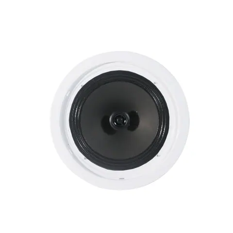 Lucky Tone High SPL 8-Inch Ceiling Speaker, product photo 5 of 6