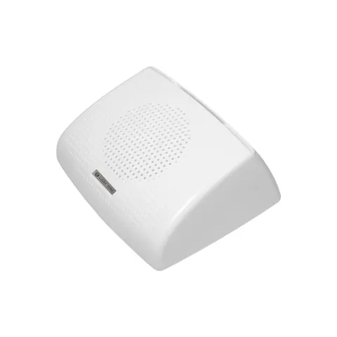 Lucky Tone Wall Mount Speaker, product photo 5 of 7