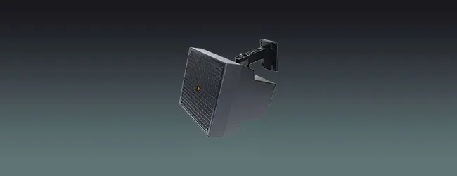 Lucky Tone IP55 Waterproof Wall Speaker, product photo 1 of 8