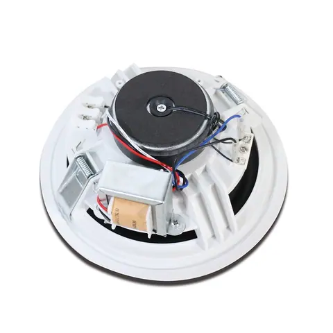 Lucky Tone High Performance 2-way Ceiling Speaker, product photo 5 of 5