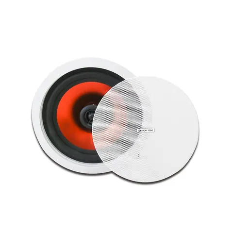 Lucky Tone High Performance 2-way Ceiling Speaker, product photo 2 of 5