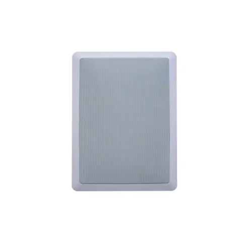 Lucky Tone In-wall Speaker, product photo 3 of 3