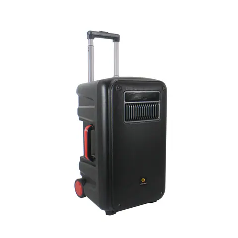 Lucky Tone 10/12-Inch Bluetooth Trolley Speaker, product photo 5 of 8