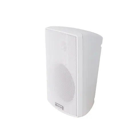 Lucky Tone 5 Inch Wall Mount Speaker with Tweeter, product photo 2 of 7