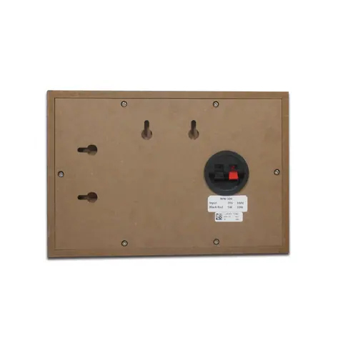 Lucky Tone Classroom/Presentation Wooden Wall Speakers, product photo 3 of 5